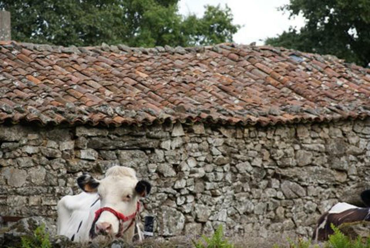 Stone Cottage Fisterra Curtis Extérieur photo